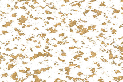 backgrounds