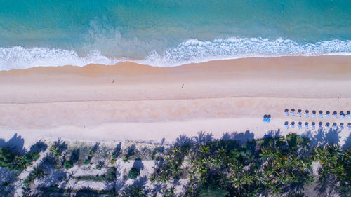 Aerial view top down of coconut palm trees on the beautiful karon beach phuket thailand amazing sea