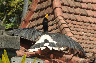 View of cross on roof of building