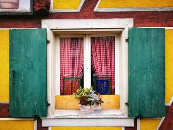 Potted plants on window of building