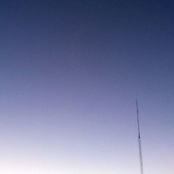 Low angle view of tree against blue sky