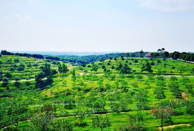 Scenic view of field against sky