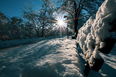 Snow covered plants and trees against sky during winter