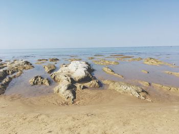 Scenic view of sea against clear sky