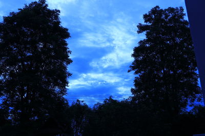 Low angle view of silhouette trees against sky