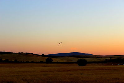 Scenic view of field against clear sky during sunset