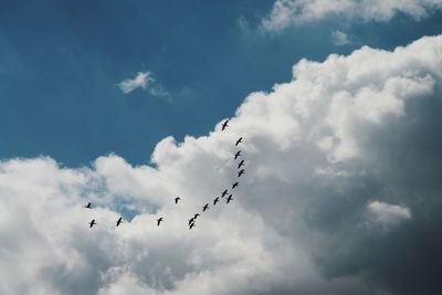 Low angle view of birds flying in sky