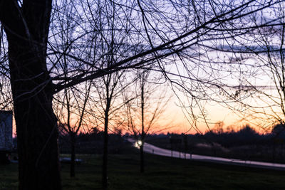 Silhouette bare trees on landscape against sky