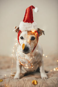 Funny dog in a new year's cap, sparkling garland, a costume for christmas party