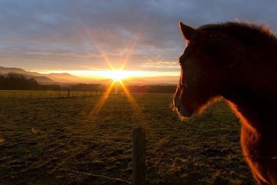 Scenic view of landscape at sunset