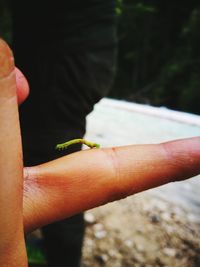 Close-up of woman hand holding leaf