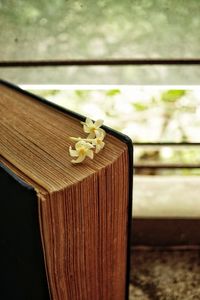 Close-up of flowering plant on book