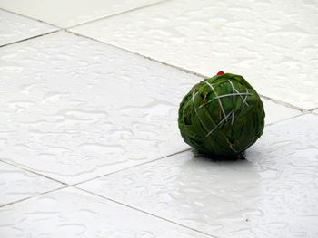 High angle view of leaf on floor