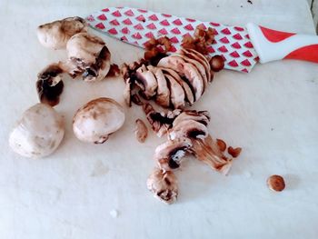 High angle view of shells on table