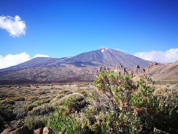 Scenic view of landscape against blue sky