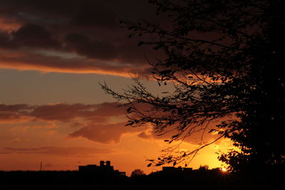 Silhouette trees against romantic sky at sunset