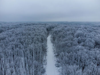 Aerial view over snow forest
