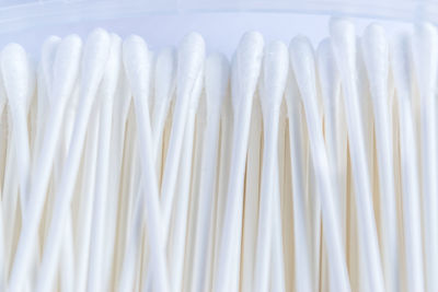 Close-up of cotton swabs