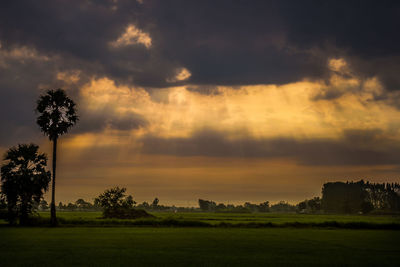 Scenic view of field against sky during sunset