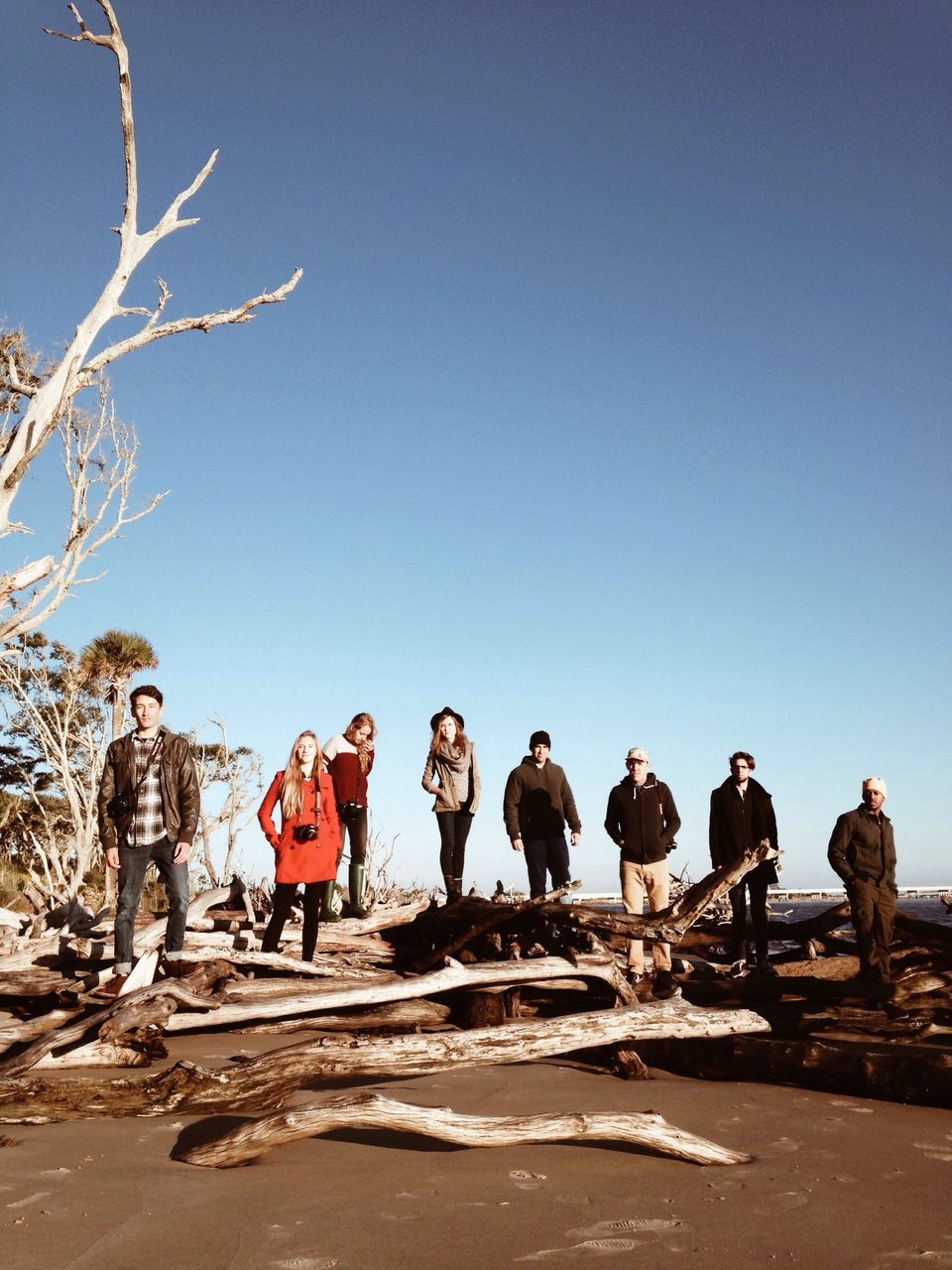 clear sky, copy space, beach, sand, sunlight, tree, nature, blue, tranquility, men, tranquil scene, outdoors, day, large group of people, beauty in nature, landscape, vacations, shadow, leisure activity