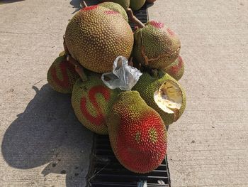 High angle view of fruits on plant