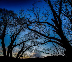 Low angle view of silhouette bare trees against blue sky