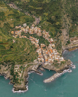 High angle view of trees in sea