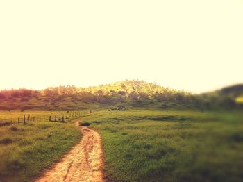 Dirt road passing through grassy field