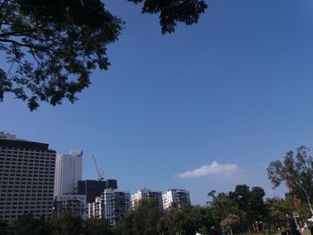 Exterior of buildings against blue sky