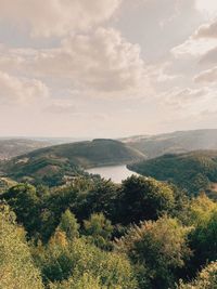 High angle view of trees on landscape against sky