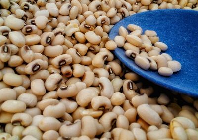 High angle view of eggs in container