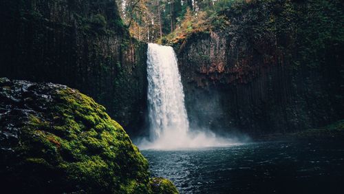 Scenic view of waterfall in forest