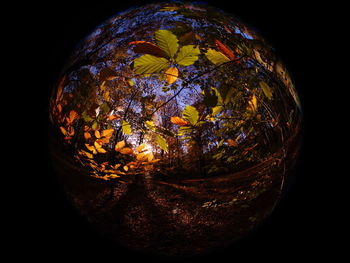 Close-up of illuminated ball against black background