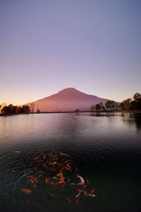 Scenic view of lake against clear sky during sunset