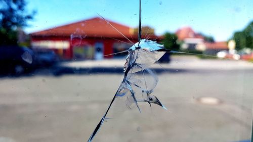 Close-up of wet glass window