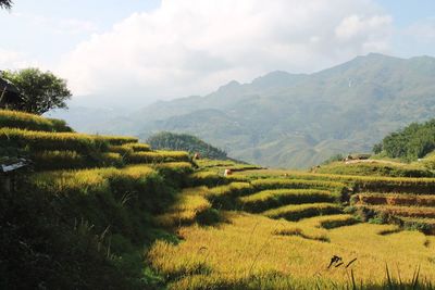 Scenic view of landscape against cloudy sky