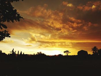 Silhouette trees against dramatic sky during sunset