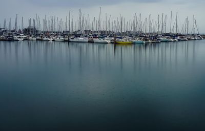 Sailboats moored in harbor