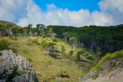 Panoramic view of landscape against sky