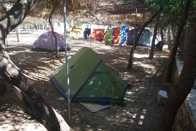 Tent in park