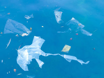 White plastic bag floating in the blue sea