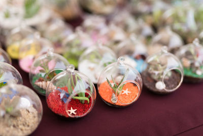 Close-up of plants in small glass balls on table