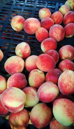 High angle view of apples for sale at market