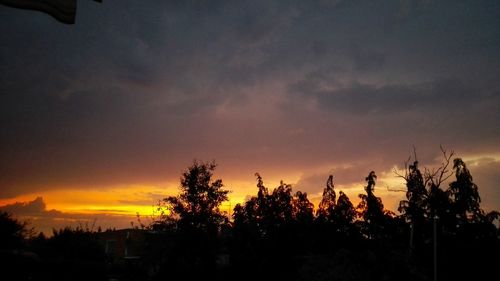 Silhouette trees against dramatic sky during sunset