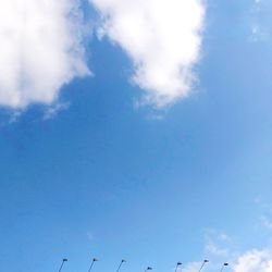Low angle view of birds flying against blue sky