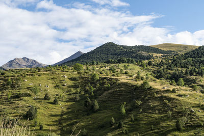 Scenic view of landscape and mountains against sky