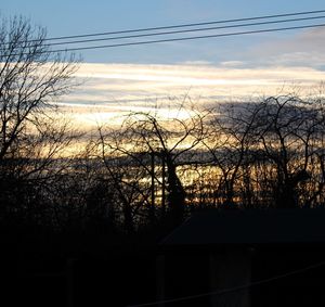 Silhouette of bare trees at sunset