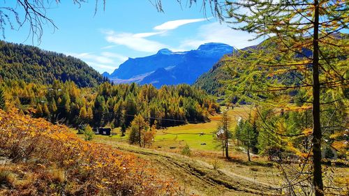Alpe devero italy foliage autumn