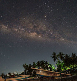 Low angle view of trees against sky at night