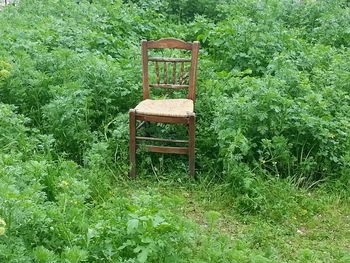 Empty bench in garden